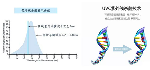 白姐全年正版王中王