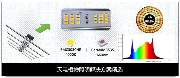 白姐全年正版王中王