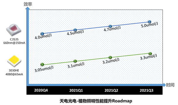 白姐全年正版王中王